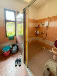 Canary Park (D16), Semi-Detached #614503561